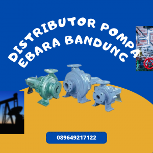 DISTRIBUTOR POMPA EBARA BANDUNG - CV.Taslim Solusi Elektrindo - 089649217122